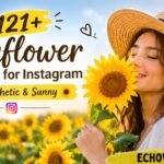 121+ Sunflower Captions for Instagram _ Cute, Aesthetic & Sunny